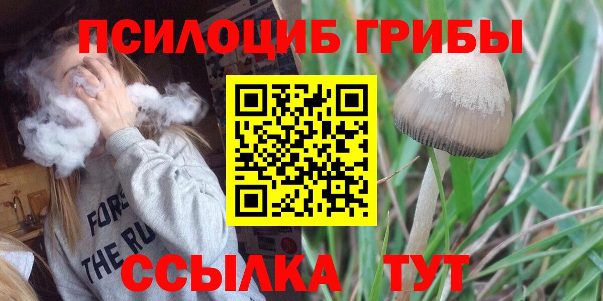 Галлюциногенные грибы Psilocybine cubensis  Вход с VPN  Туапсе 